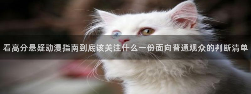 虫虫漫画高分榜:看高分悬疑动漫指南到底该关注什么一份面向普通观众的判断清单配图