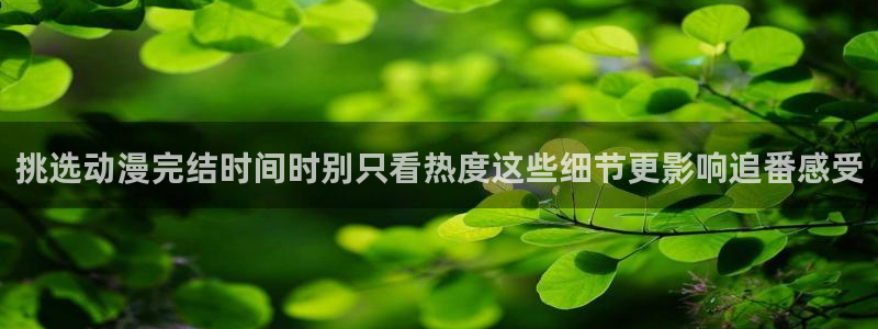 虫虫漫画快速更新：挑选动漫完结时间时别只看热度这些细节更影响追番感受配图