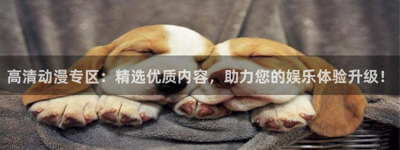 虫虫漫画人气榜:高清动漫专区:精选优质内容,助力您的娱乐体验升级!配图