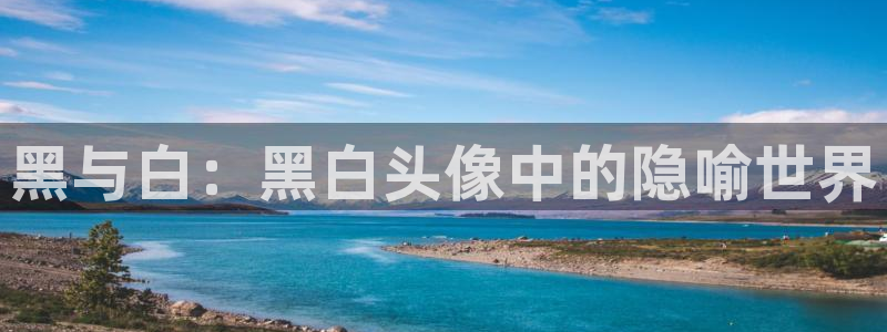 虫虫漫画热门作品大全:黑与白:黑白头像中的隐喻世界配图
